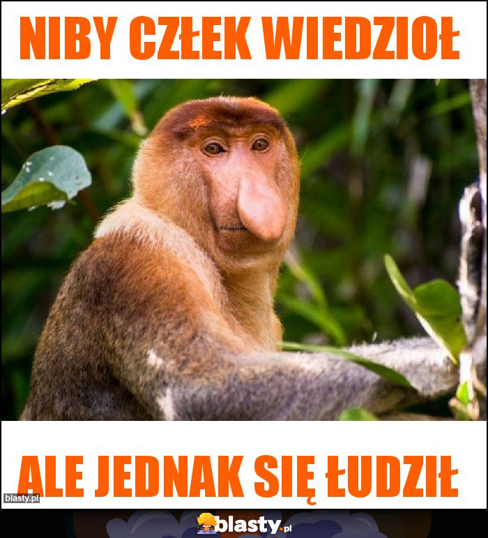 Niby człek wiedzioł