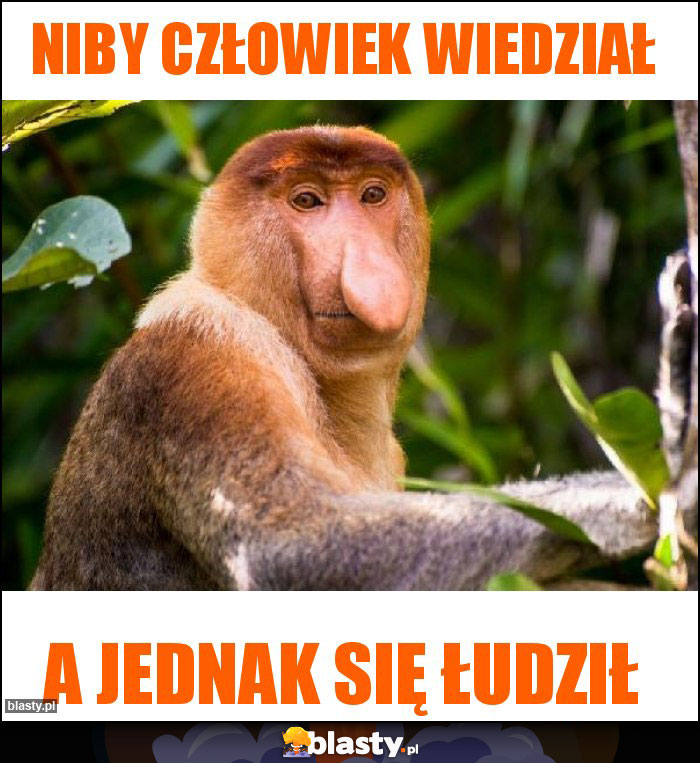 Niby człowiek wiedział