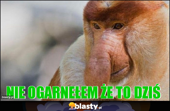 Nie ogarnełem że to dziś