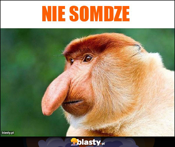 Nie somdze