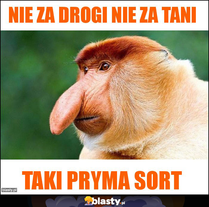 Nie za drogi nie za tani