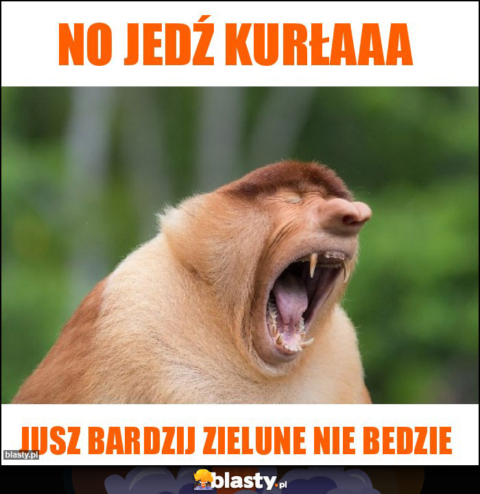 No jedź kurłaaa