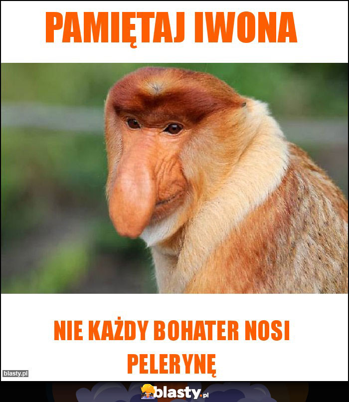 Pamiętaj Iwona