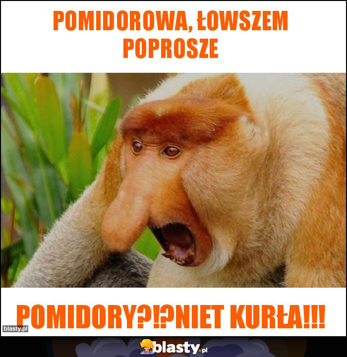 Pomidorowa, łowszem poprosze