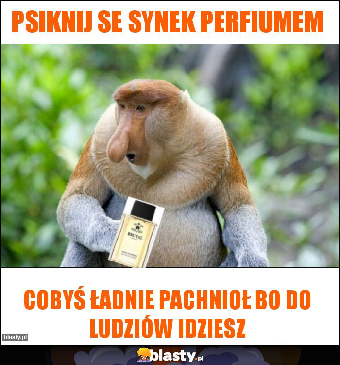 psiknij se synek perfiumem