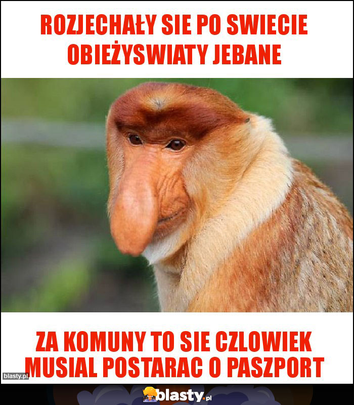 ROZJECHAŁY SIE PO SWIECIE OBIEŻYSWIATY JEBANE