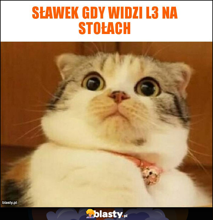 Sławek gdy widzi L3 na stołach