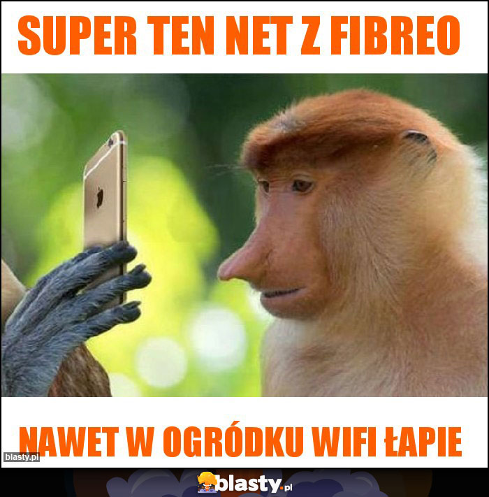 SUPER TEN NET Z FIBREO