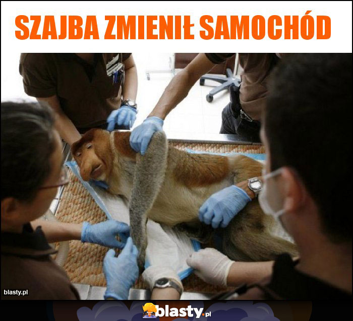 Szajba zmienił samochód