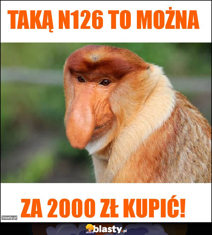 Taką n126 to można