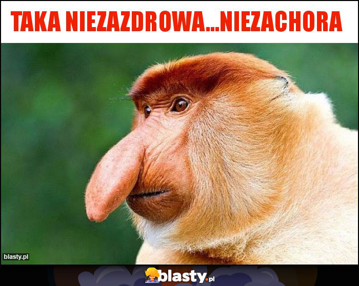 taka niezazdrowa...niezachora