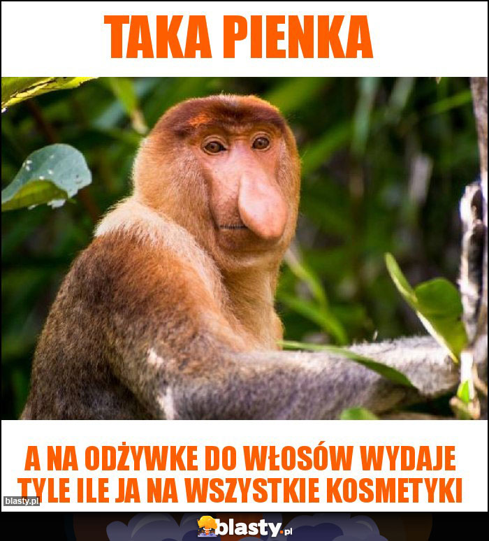 Taka pienka