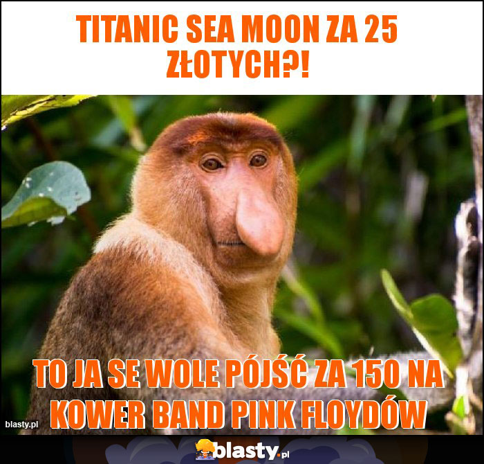 Titanic Sea Moon za 25 złotych?!