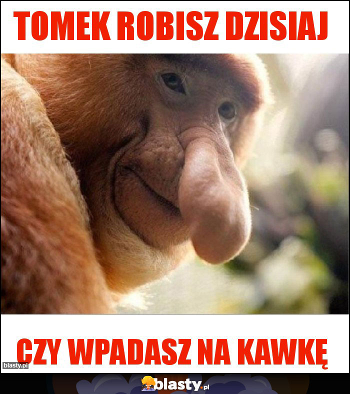 Tomek robisz dzisiaj