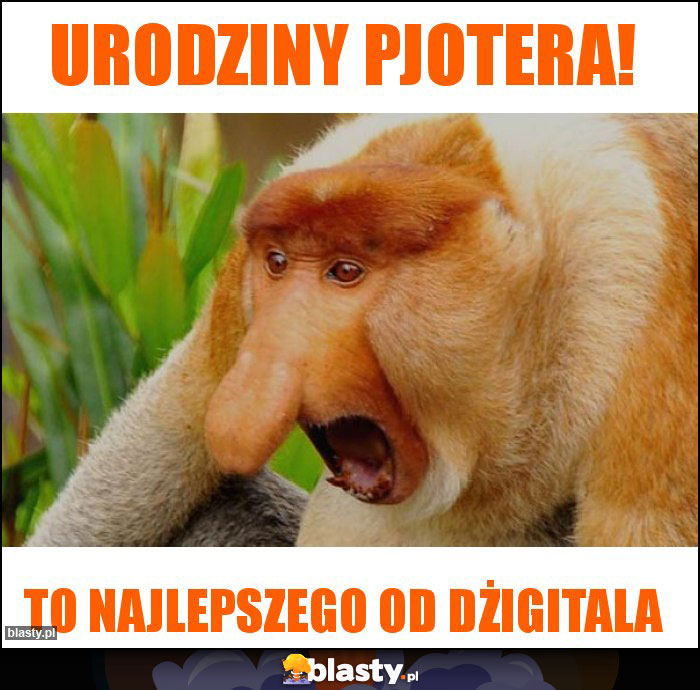 Urodziny Pjotera!