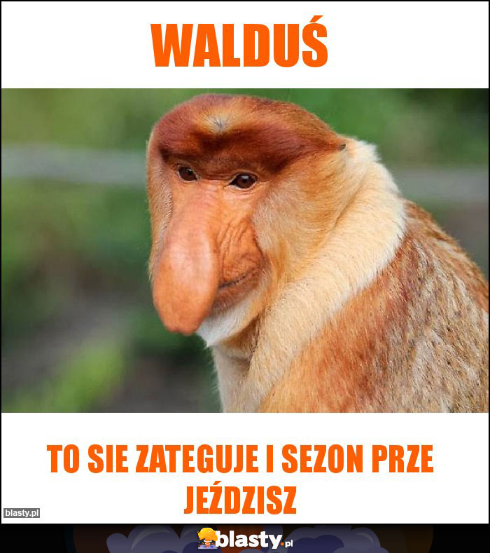 Walduś