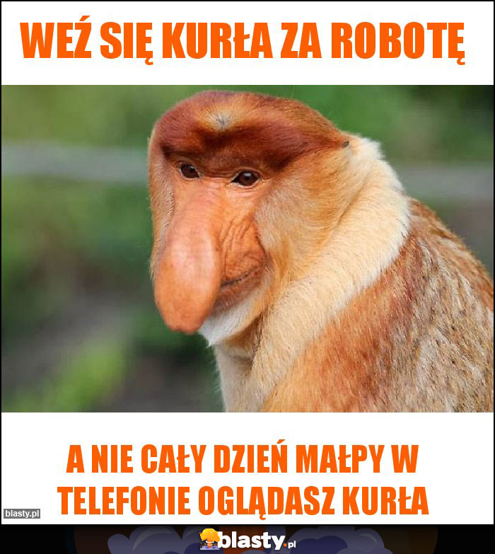 weź się kurła za robotę