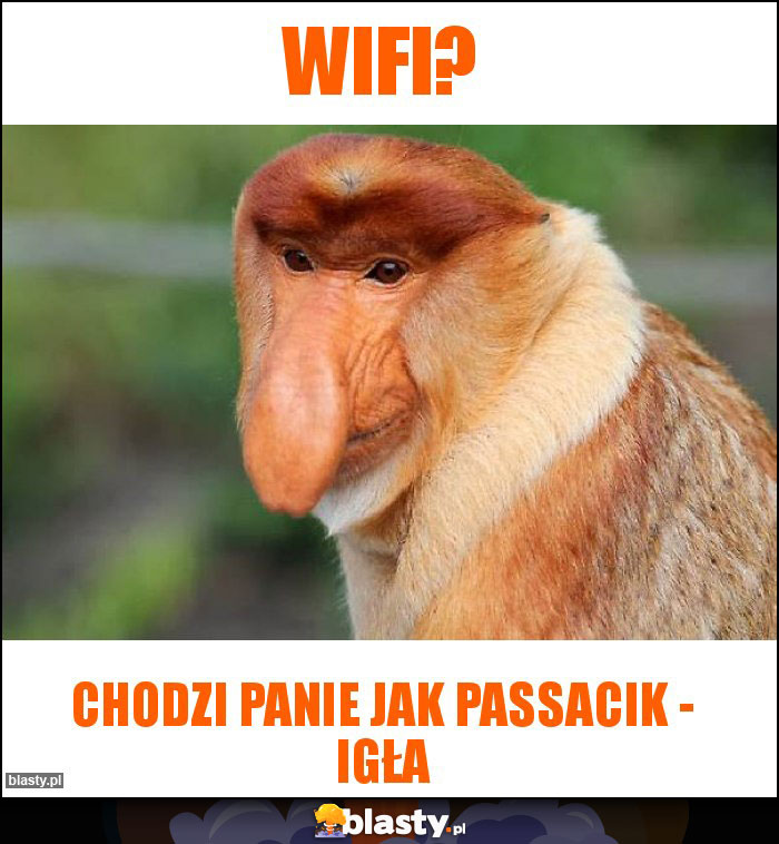 Wifi?