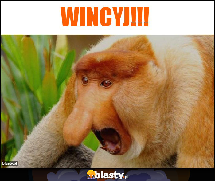 Wincyj!!!