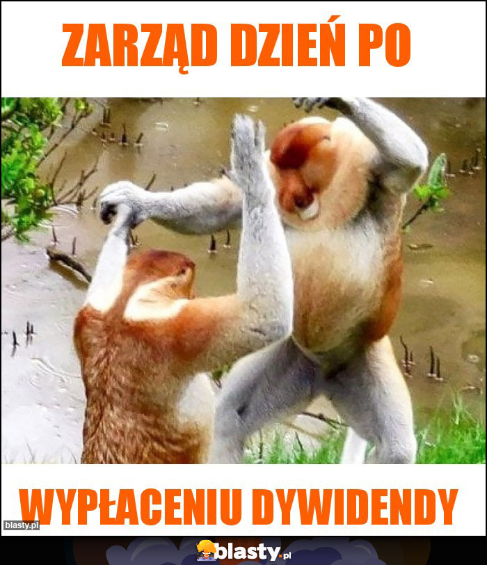 Zarząd dzień po