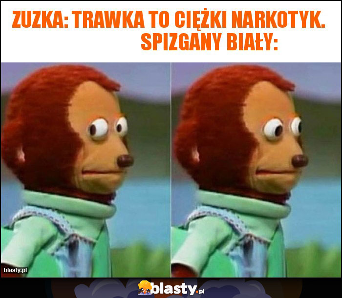 Zuzka: trawka to ciężki narkotyk.                       Spizgany Biały: