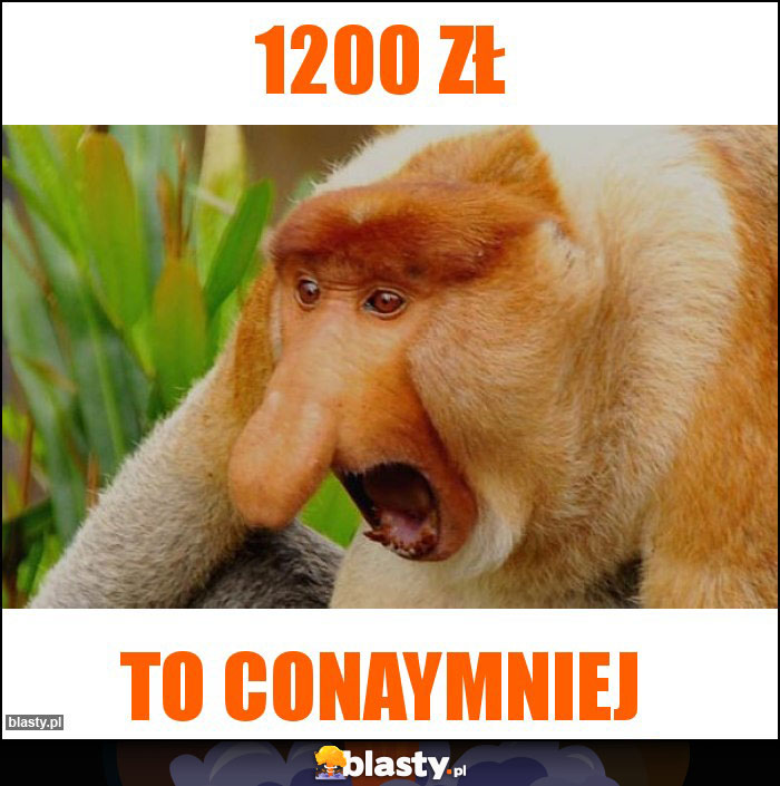 1200 zł