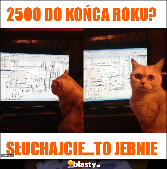 2500 do końca roku?