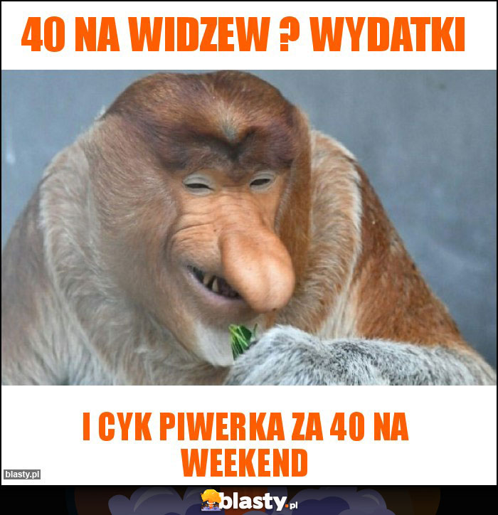 40 NA WIDZEW ? WYDATKI