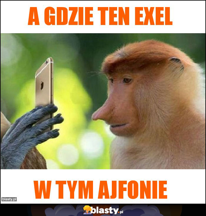 a gdzie ten exel