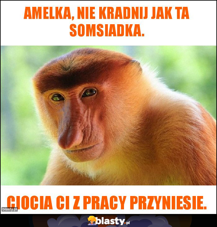 Amelka, nie kradnij jak ta somsiadka.