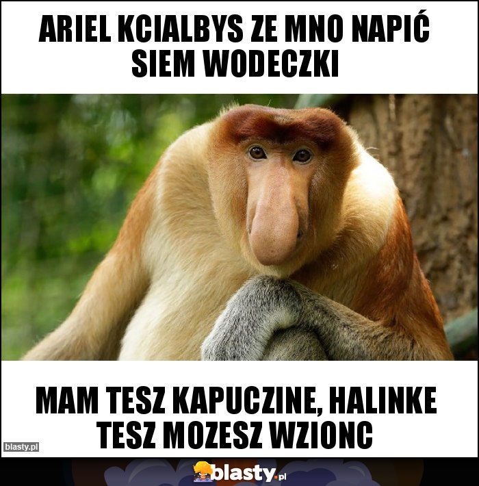 Ariel kcialbys ze mno napić siem wodeczki