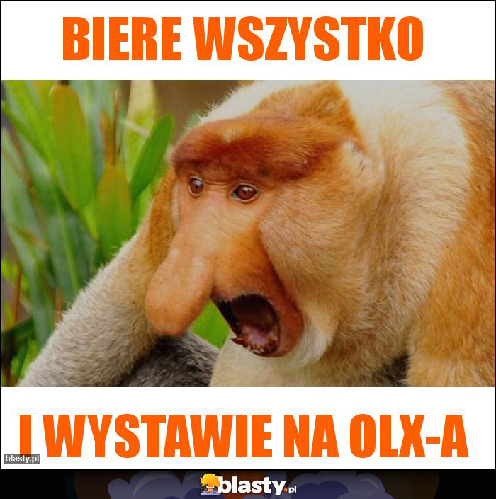 biere wszystko