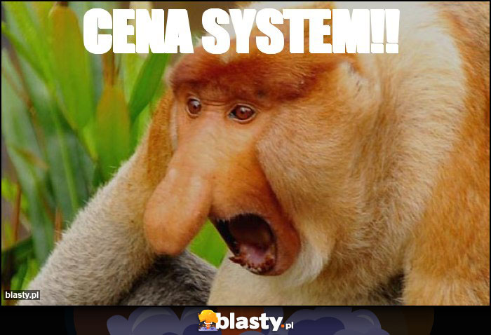 CENA system!!