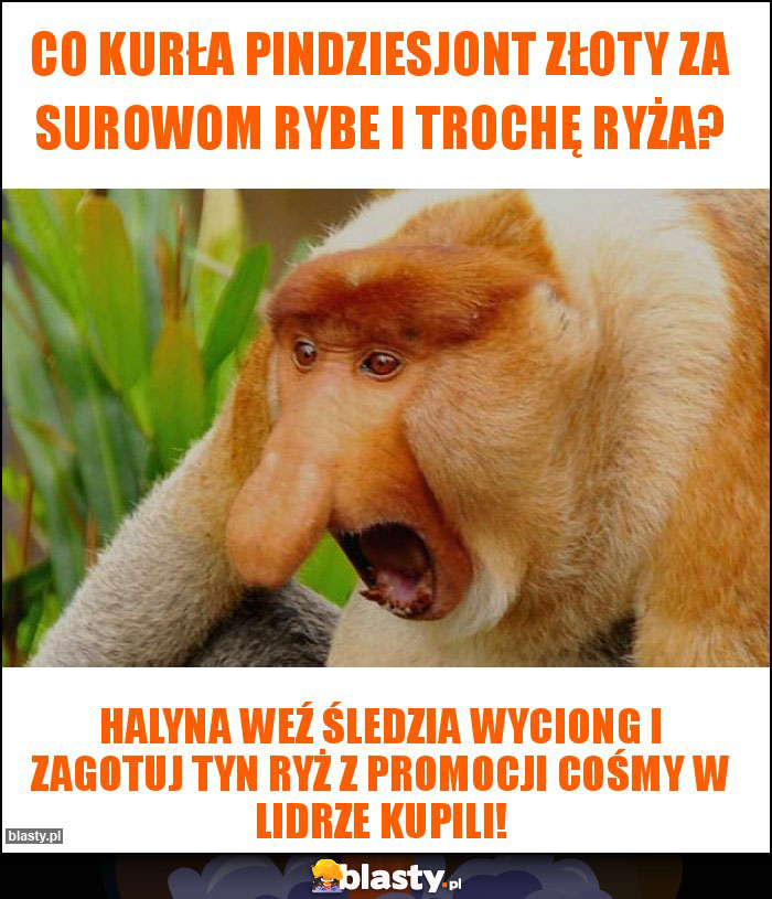 Co kurła pindziesjont złoty za surowom rybe i trochę ryża?