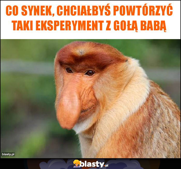 Co synek, chciałbyś powtórzyć taki eksperyment z gołą babą