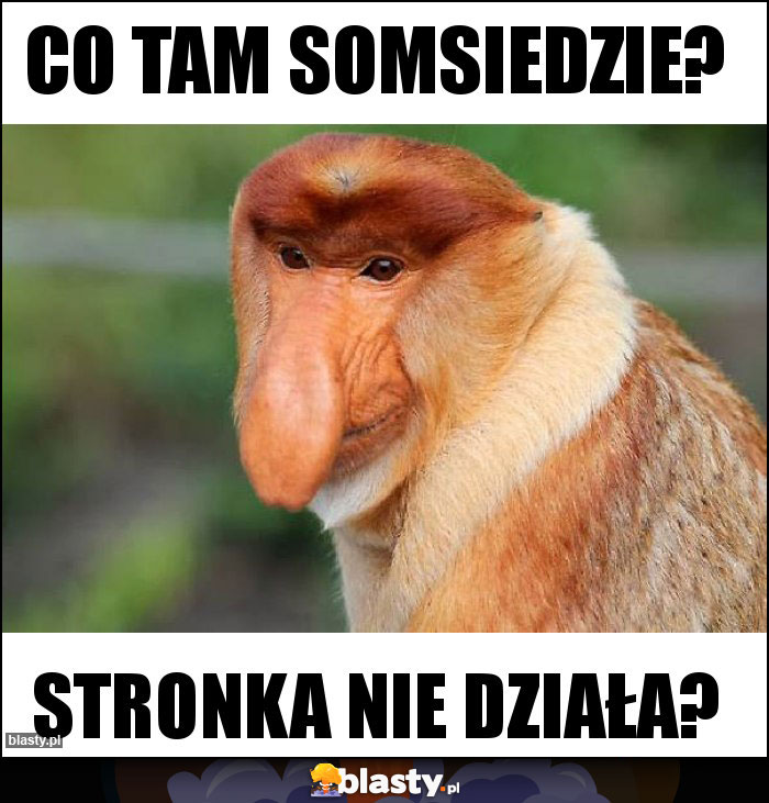 Co tam somsiedzie?