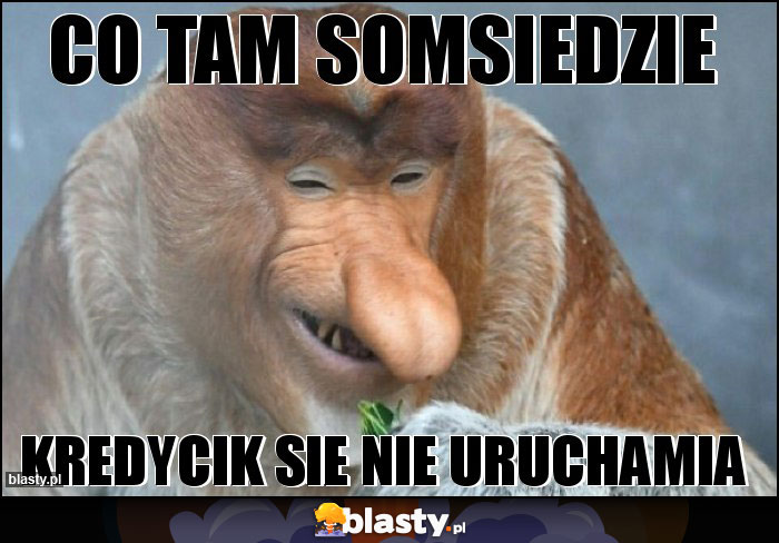 CO TAM SOMSIEDZIE