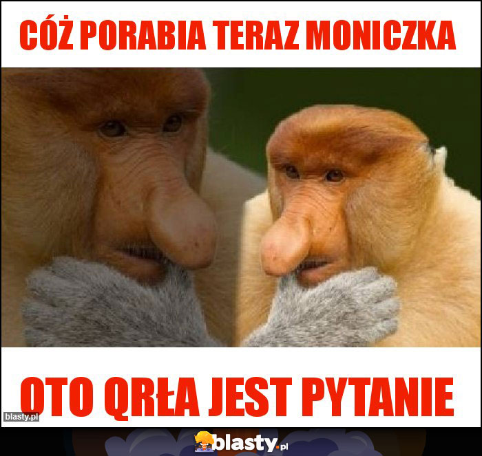 Cóż porabia teraz Moniczka