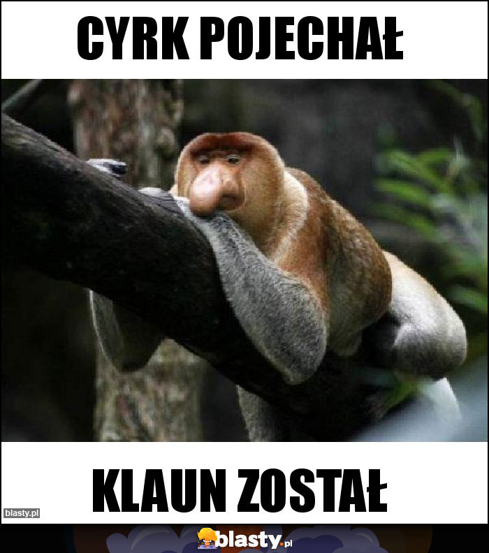 CYRK POJECHAŁ