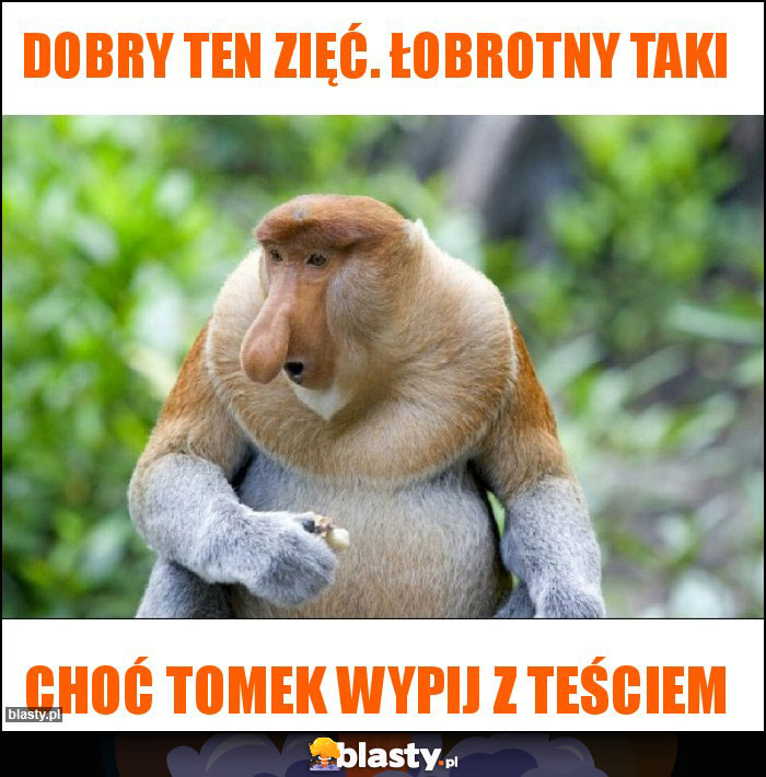 Dobry ten zięć. Łobrotny taki