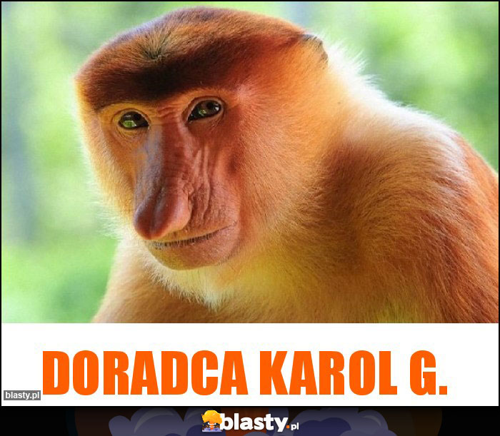 Doradca Karol G.