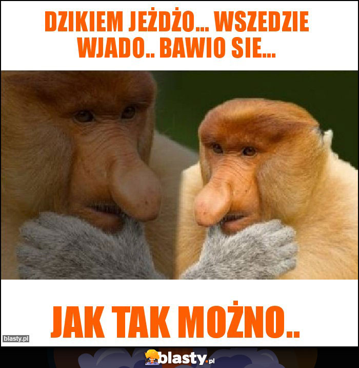 Dzikiem jeżdżo... Wszedzie wjado.. bawio sie...