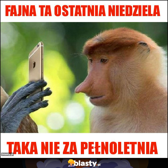 Fajna ta ostatnia niedziela