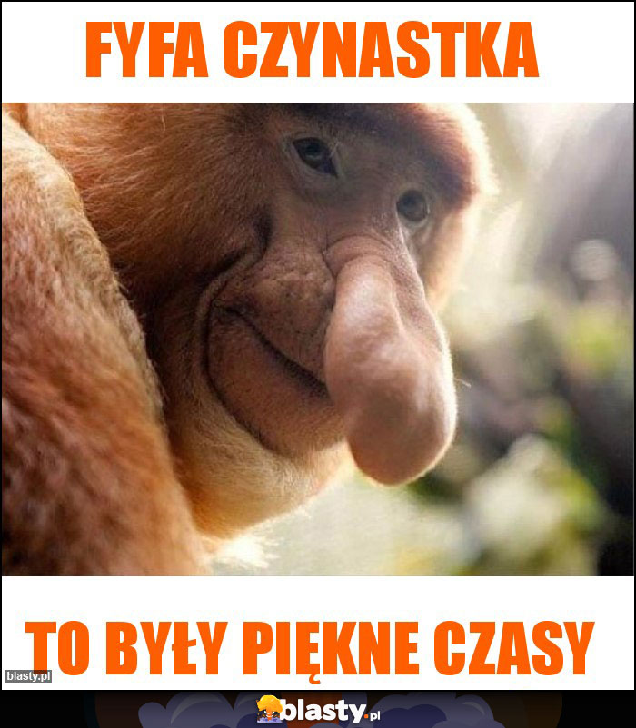 Fyfa czynastka