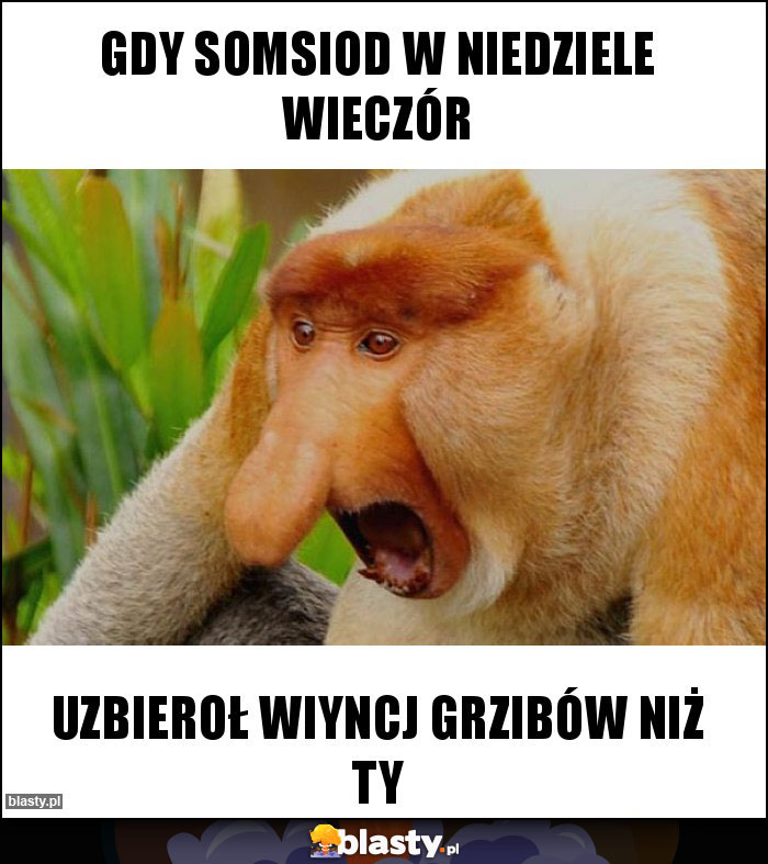 GDY SOMSIOD W NIEDZIELE WIECZÓR