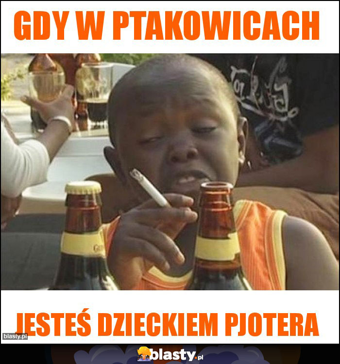 Gdy w Ptakowicach