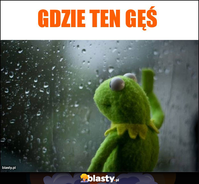 GDzie ten gęś