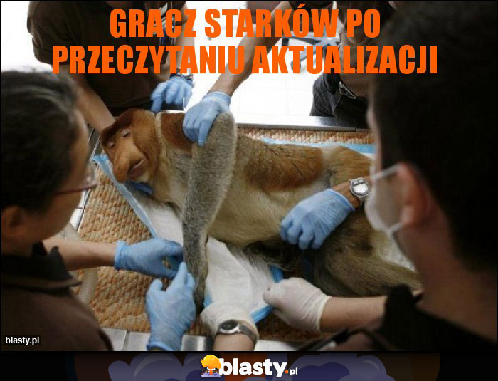 Gracz Starków po przeczytaniu aktualizacji