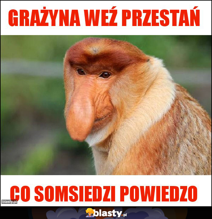 Grażyna weź przestań