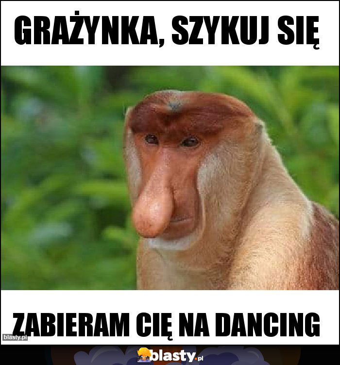 Grażynka, szykuj się